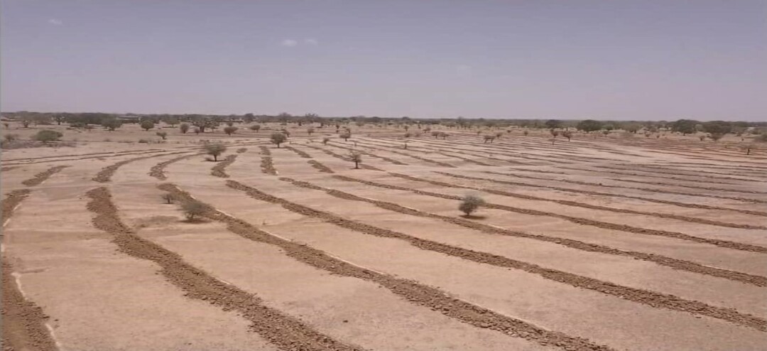 Réhabilitation durable des sols